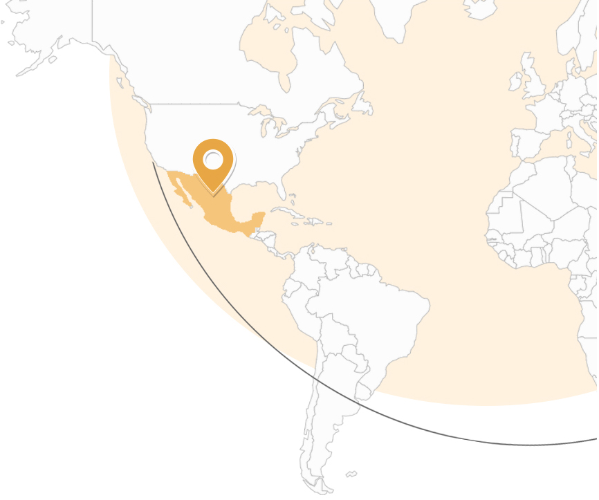 IPS LANDO in Guadalajara,Mexico